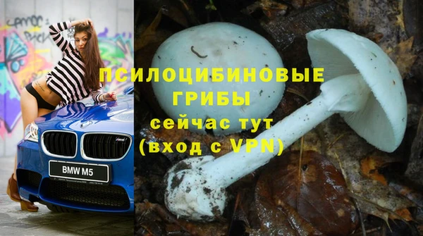 винт Усинск