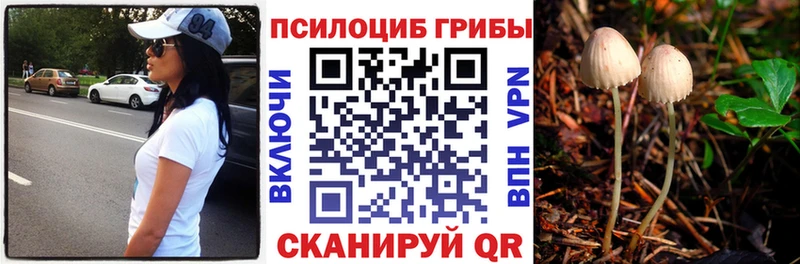 Псилоцибиновые грибы Magic Shrooms kraken вход Лысьва как найти